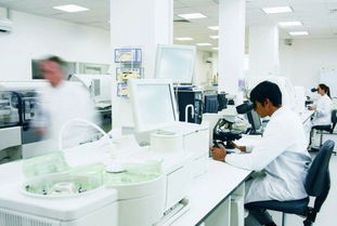 玫瑰綻放富陽，國妝筑夢(mèng)未來 記杭州好公司的民族品牌之路